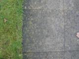 image of grave number 125959